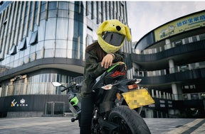 Helmet Cover YELLOW DOG